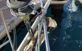 Harmony 38