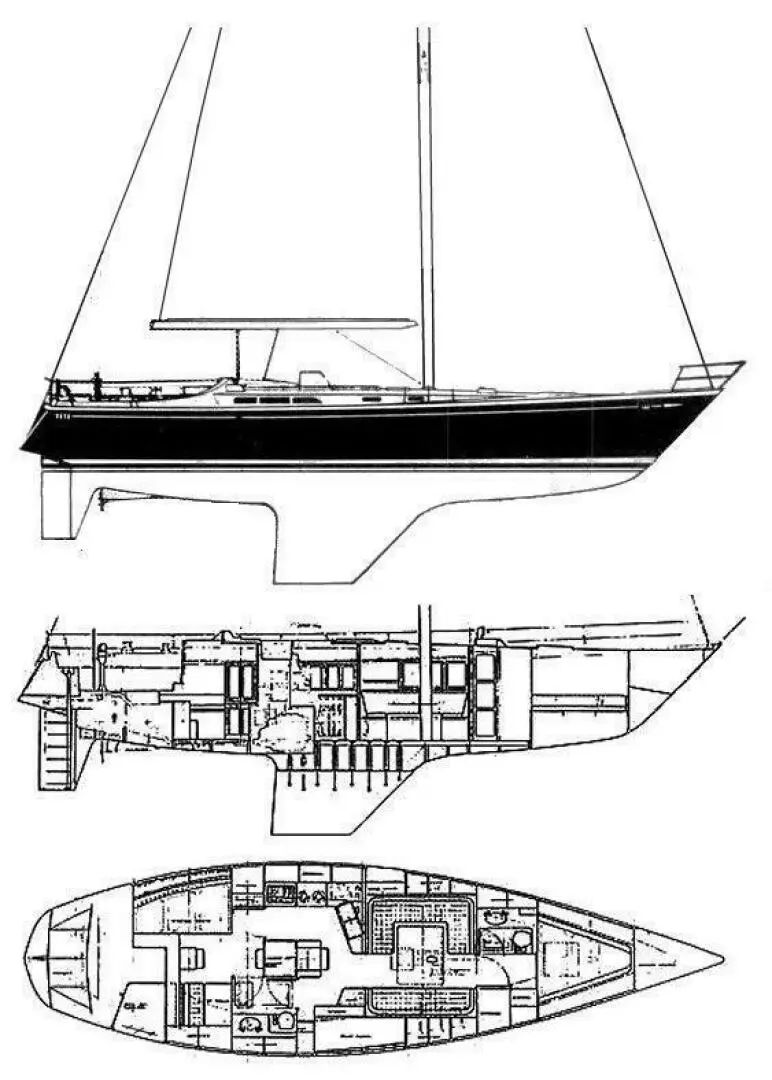Warwick 46