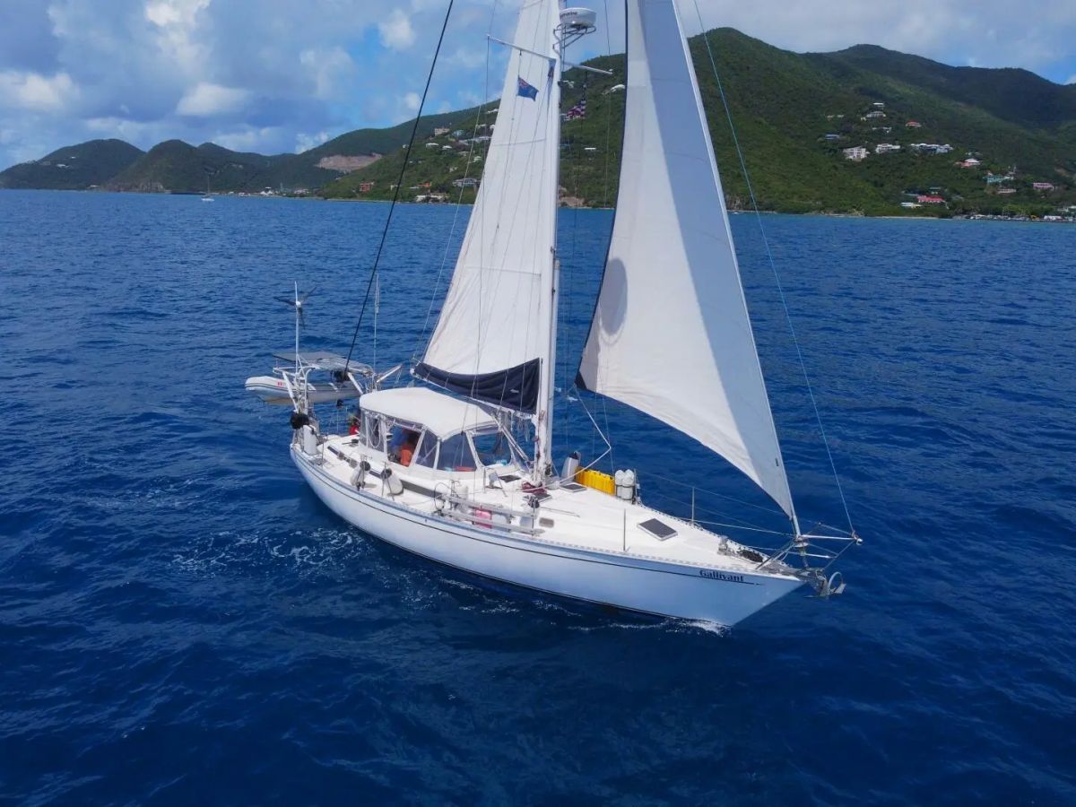 Star Hirsch 45 image