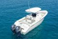 Cobia 280 Cc