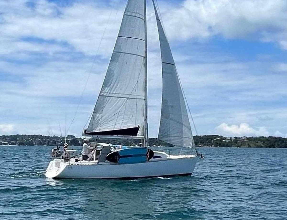 Beale 33