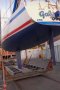 Reduced again Triple Dia King Billy Fast Cruiser