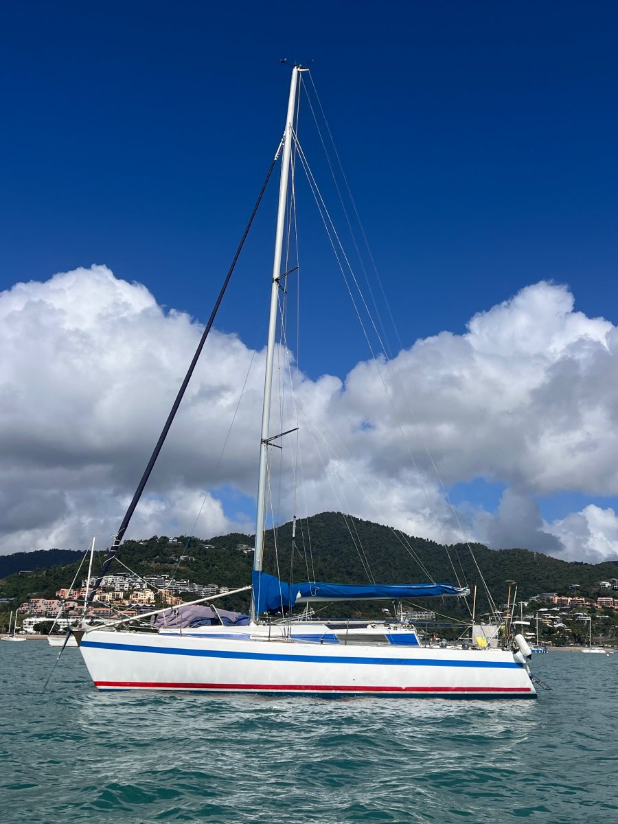 Reduced again Triple Dia King Billy Fast Cruiser
