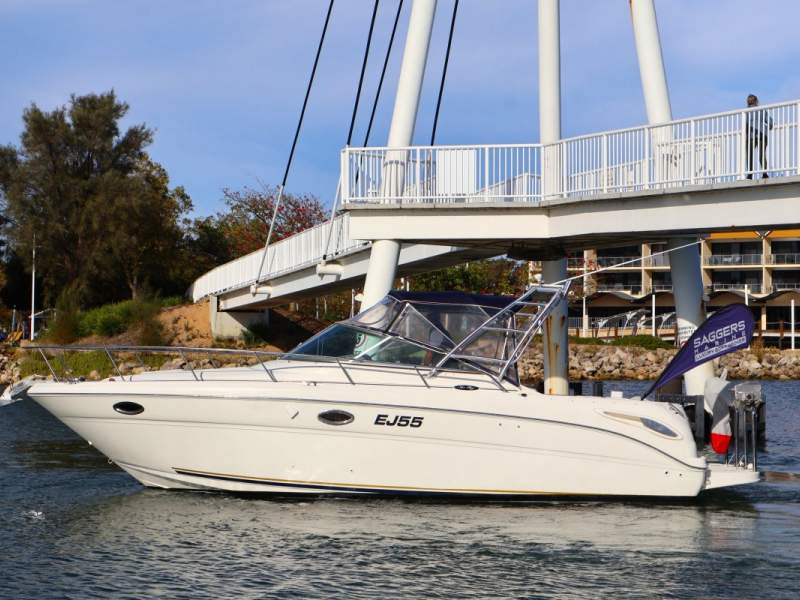 Sea Ray 290
