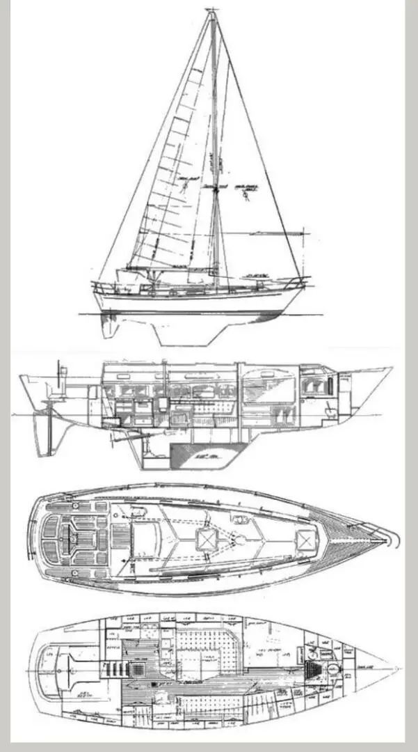 Passport 41