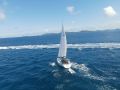 Hunter 41