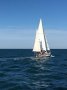 Herreshoff Nereia