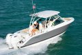 Pursuit DC266
