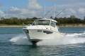 New Pursuit OS325
