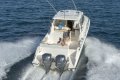 New Pursuit OS325