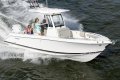 New Pursuit S248