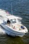 New Pursuit S248