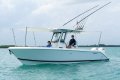Pursuit S268