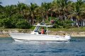 New Pursuit S288