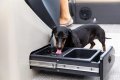 New Barletta Pontoon Boats Cabrio Cast N Cruise 24CC
