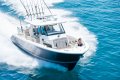 New Pursuit S358