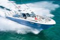 New Pursuit S428