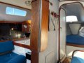 Austral Clubman 8