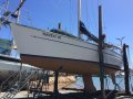 Bavaria 44