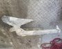 Miscellaneous Crayfishing Gear