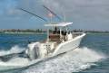 Pursuit S288 - 2025MY ALL TYPES OF TRADES WELCOME!!