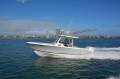 Pursuit S288 - 2025MY ALL TYPES OF TRADES WELCOME!!