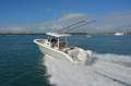 Pursuit S288 - 2025MY ALL TYPES OF TRADES WELCOME!!