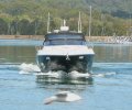 Sunseeker Superhawk 43 Sports