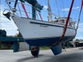 Oceanic 46 Performance Cruising yacht