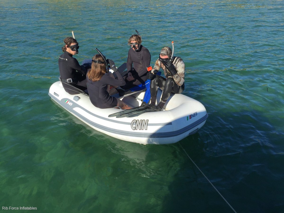 AB Inflatables AB Lammina 9.5 Premium Super yacht tender:AB AL 9.5