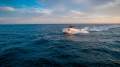 Tesoro T-40 Outboard Company Demonstrator