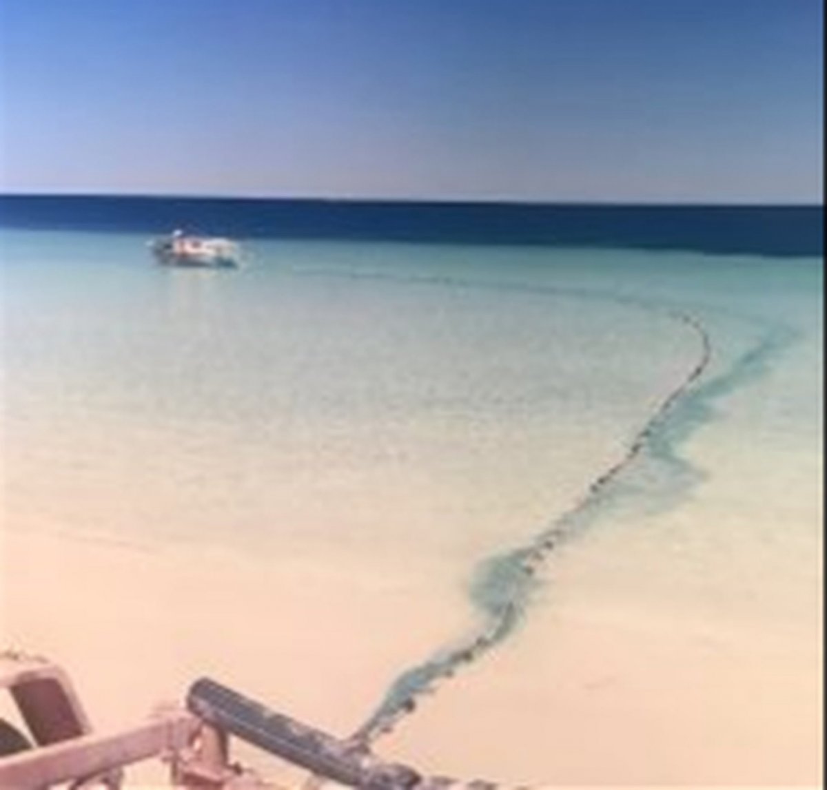 South Coast Near Shore Net Licence