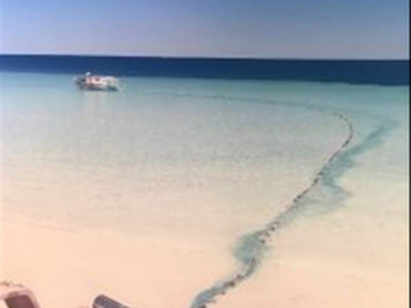 South Coast Near Shore Net Licence