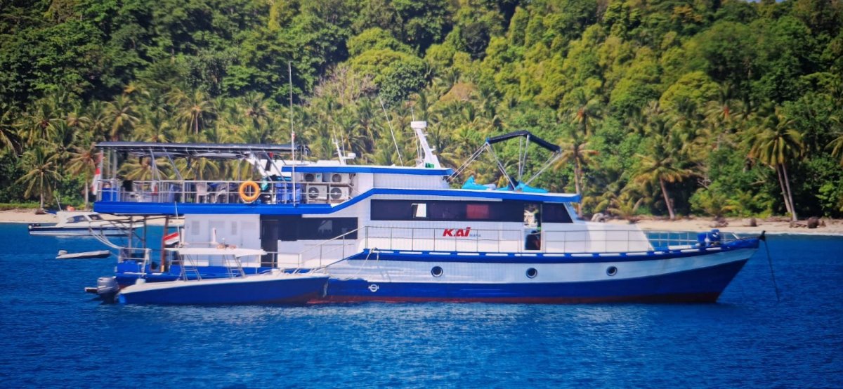 80' Surf Charter + Surf Charter Business:starboard
