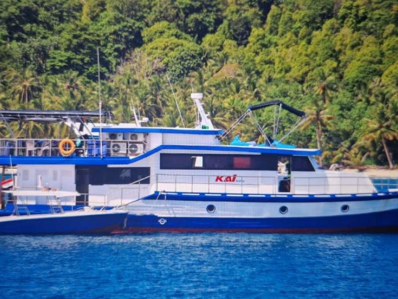 80' Surf Charter + Surf Charter Business