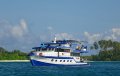 80' Surf Charter + Surf Charter Business:port