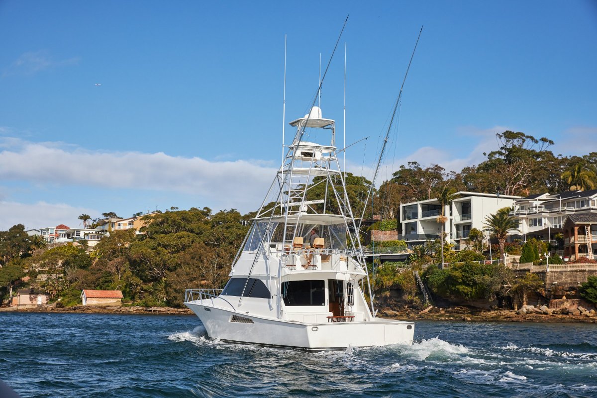 Viking 52 Convertible