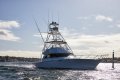 Viking 52 Convertible