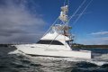 Viking 52 Convertible