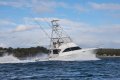 Viking 52 Convertible