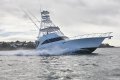 Viking 52 Convertible