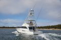 Viking 52 Convertible