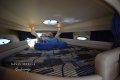 Mustang 3800 Hard Top:2006 Mustang 3800 Hard Top