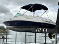 Sea Ray 270 Sundeck