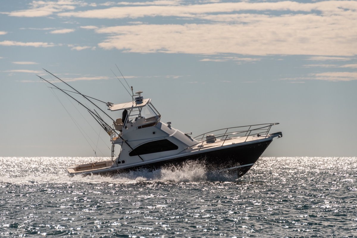 Black Watch 40 Flybridge