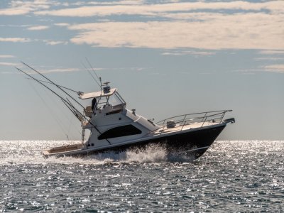 Black Watch 40 Flybridge