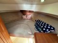Palm Beach Motor Yachts 32 Classic Braddles