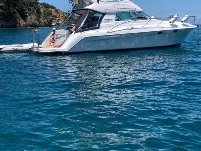 Genesis 400 Flybridge