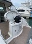 Genesis 400 Flybridge
