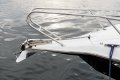 Atomix 7500 Sports Cruiser